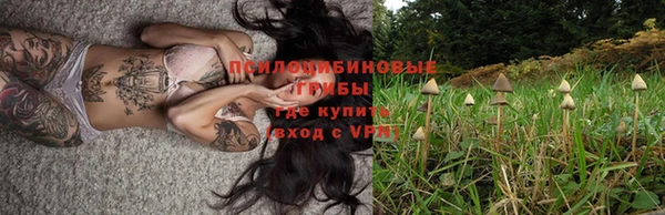 таблы Алексин