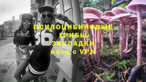 прущий лед Абаза
