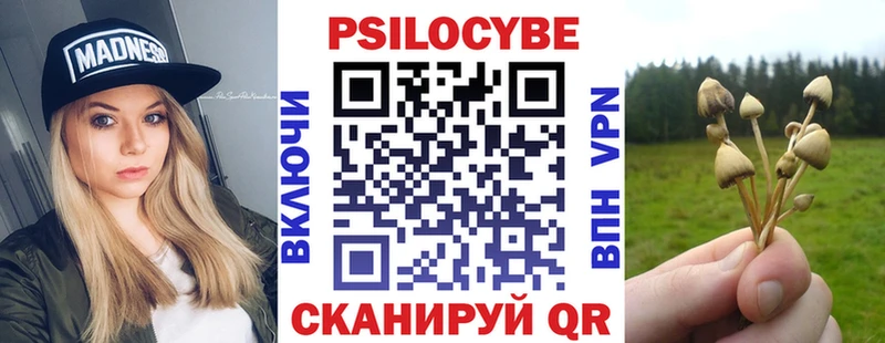 Псилоцибиновые грибы прущие грибы  гидра как зайти  Опочка 
